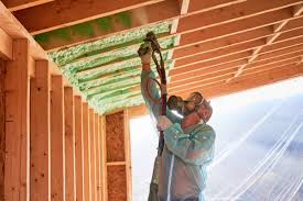 Best Insulation for New Construction  in San Elizario, TX