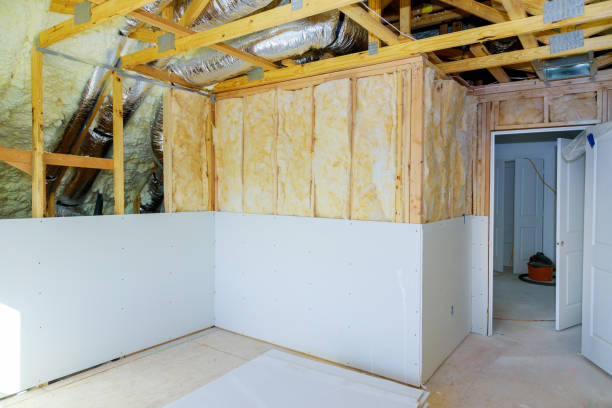 Best Commercial Insulation Services  in San Elizario, TX